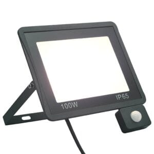 LED reflektor s senzorjem | 100 W | Hladno bela