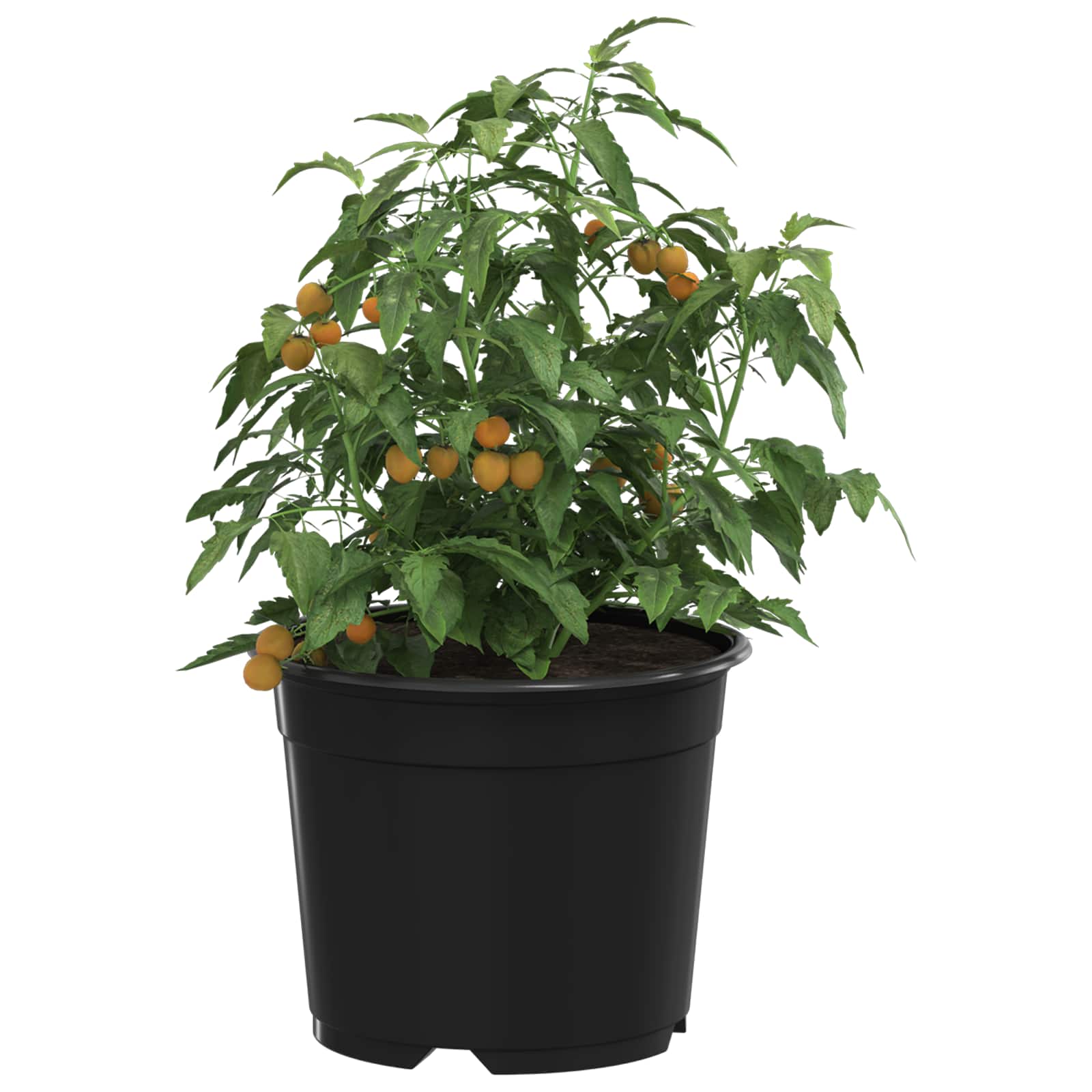 Cvečni lonec 50 kos črna Ø 15 x 12.5 cm Plastika - slika 3