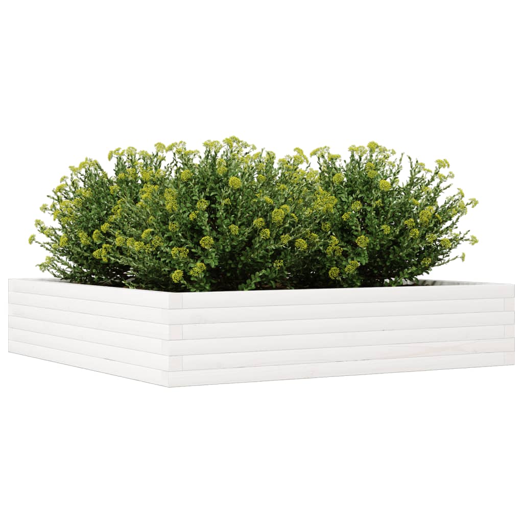 Vrtno cvetlično korito belo 110x110x23 cm trdna borovina - slika 4