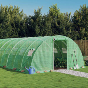 Rastlinjak z jeklenim ogrodjem 6 x 4 x 2 m (24 m²), zelen