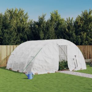 Rastlinjak z jeklenim ogrodjem 5 x 4 x 2,3 m (20 m²), bel